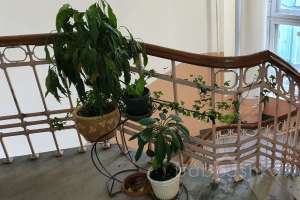 20191103_125005 подъезды Съёмки Москва