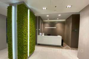 IMG_6003 подъезды Съёмки Москва