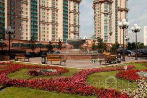 IMG_9398 территория Съёмки Москва