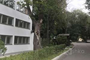 89F32696-444D-4BE1-ABE3-13AEED4DFAE7. территория Съёмки Москва