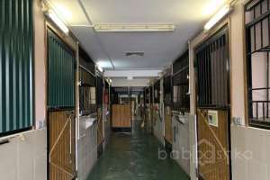 E6CF92BA-1D5A-4DDC-8EC7-0B2116464A5F. отели Съёмки Москва