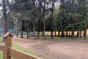 694FD10F-CD02-4EDB-B7EA-AA19E88669B1. отели Съёмки Москва