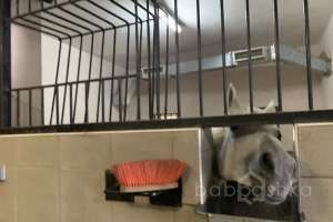 4BF61375-2D5D-4AC3-A19C-BA24BEFC15BC. отели Съёмки Москва