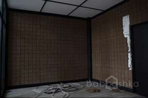 89CE79FA-3D10-4053-858C-66D45A8AD5B4. холлы Съёмки Москва