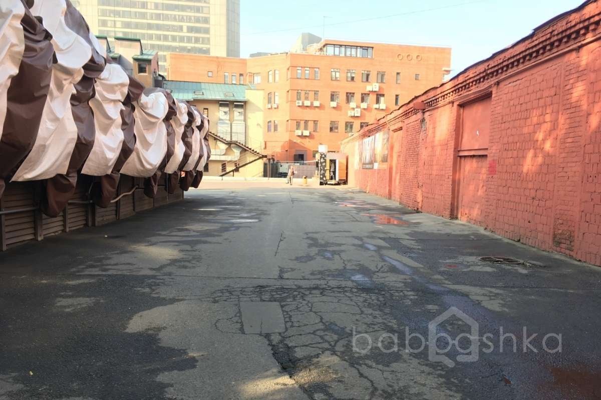 IMG_1750 территория 