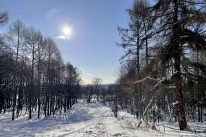 51F17638-FA8C-4A97-B11F-E7B4ABE7AD30. дворцы и усадьбы Съёмки Москва