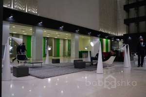 DSC00261 холлы Съёмки Москва