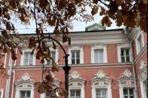 E95D4730-7794-4767-A3F1-942060A8A436. дворцы и усадьбы Съёмки Москва