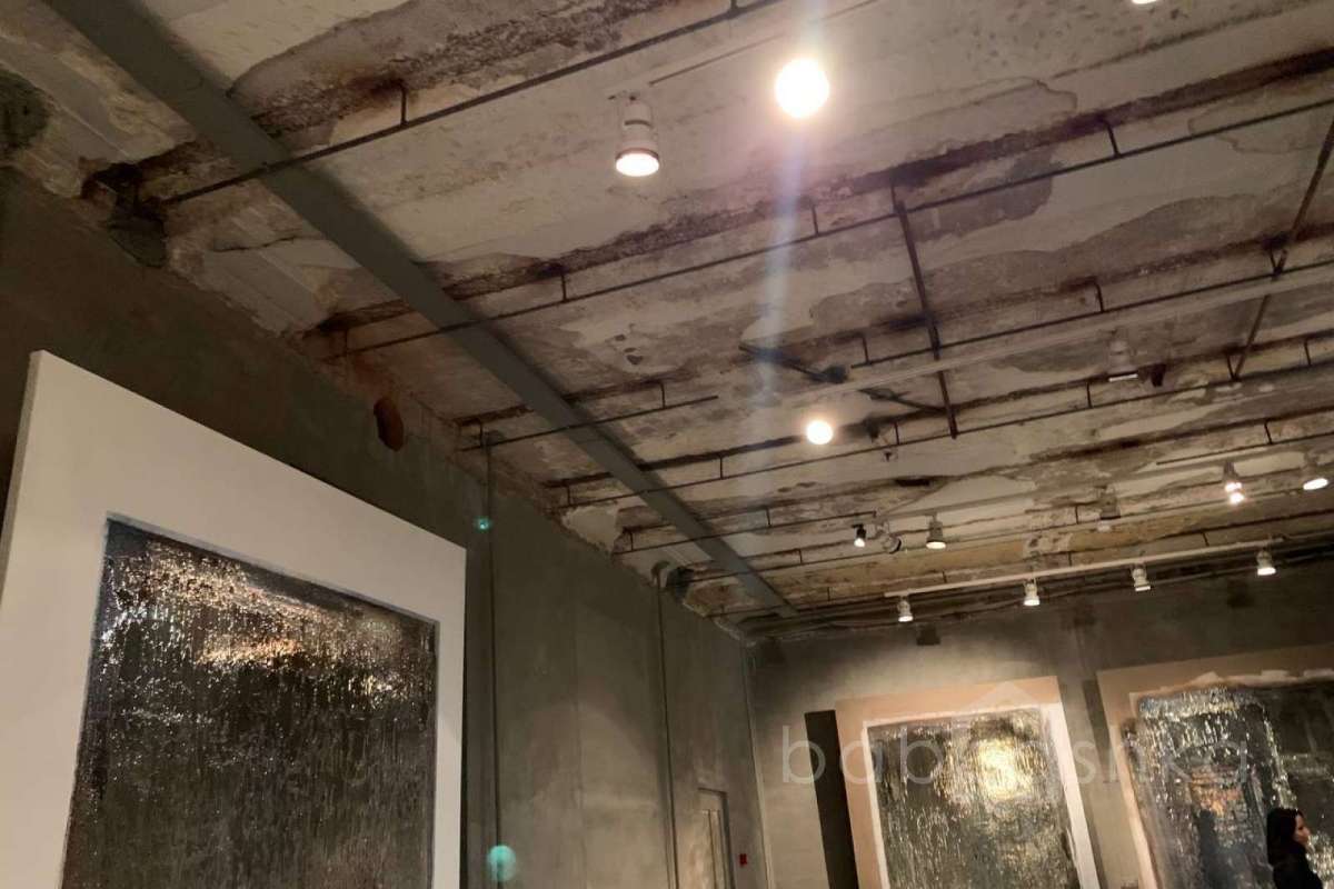 CAA100D2-DE7A-4E5B-B3C5-142C7117053F. галереи 