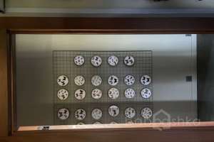 IMG_2028 квартиры Съёмки Москва