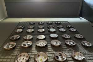 IMG_2080 квартиры Съёмки Москва