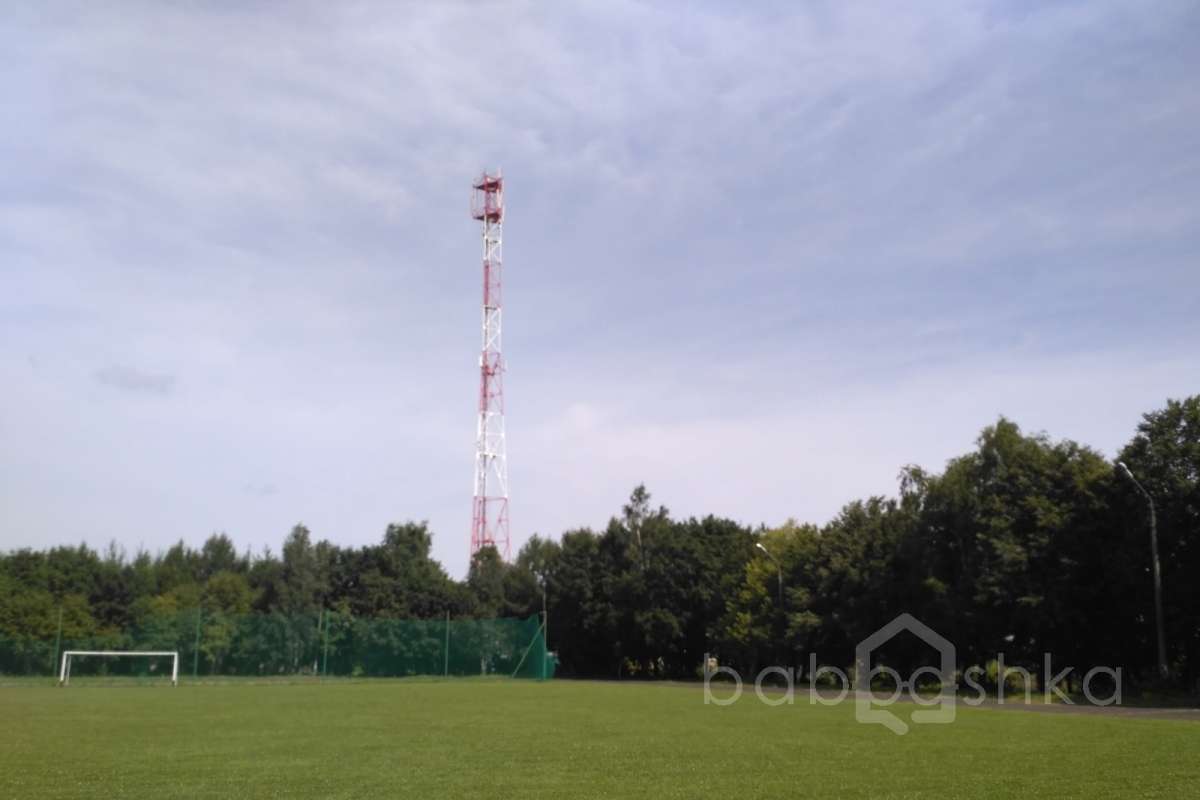 IMG_20170802_115532 стадионы футбольные 