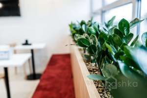 photo-19 офисы опен спейс Съёмки Москва