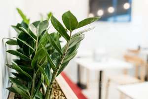 photo-23 офисы опен спейс Съёмки Москва