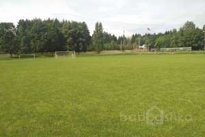 IMG_20170802_135648 поля футбольные Съёмки Москва