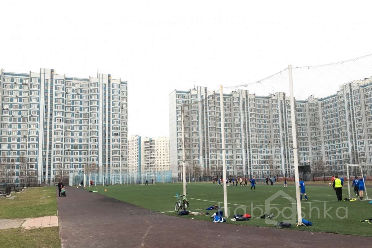 IMG_7159 поля футбольные 