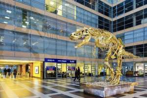 IMG_1913 офисы опен спейс Съёмки Москва