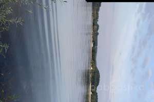 2021-09-12_17-53-37 лес Съёмки Москва