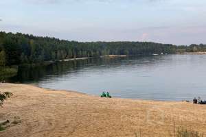 2021-09-12_17-52-30 лес Съёмки Москва