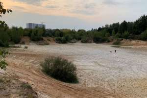 2021-09-12_17-48-22 лес Съёмки Москва