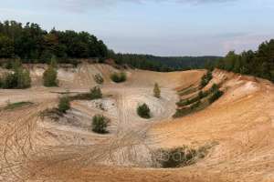 2021-09-12_17-47-59 лес Съёмки Москва