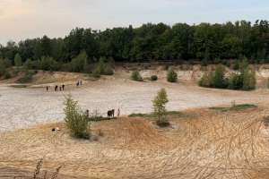 2021-09-12_17-48-02 лес Съёмки Москва