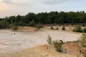 2021-09-12_17-48-26 лес Съёмки Москва