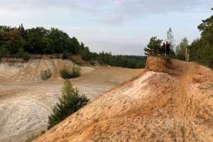 2021-09-12_17-49-36 лес Съёмки Москва