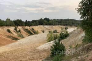 2021-09-12_17-56-18 лес Съёмки Москва