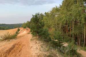 2021-09-12_17-48-50 лес Съёмки Москва