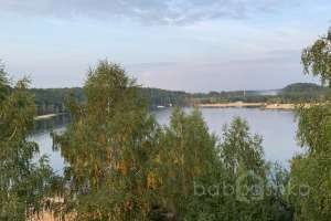 2021-09-12_17-51-39 лес Съёмки Москва