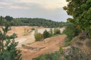 2021-09-12_17-56-53 лес Съёмки Москва