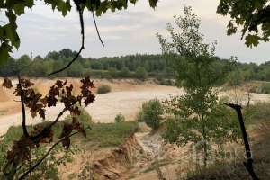 2021-09-12_17-58-12 лес Съёмки Москва