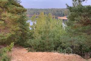 2021-09-12_17-49-44 лес Съёмки Москва