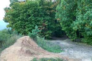 2021-09-12_17-56-40 лес Съёмки Москва