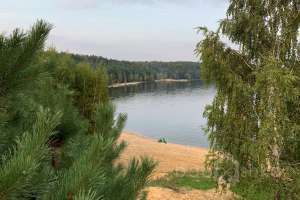 2021-09-12_17-51-58 лес Съёмки Москва