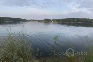 2021-09-12_17-53-58 лес Съёмки Москва