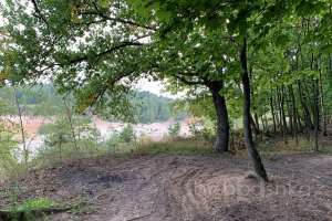 2021-09-12_17-57-28 лес Съёмки Москва