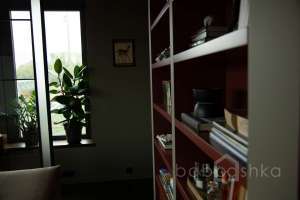 A56A2749 квартиры Съёмки Москва