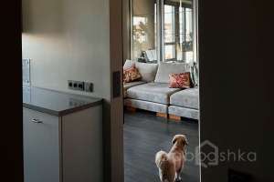 IMG_2173 квартиры Съёмки Москва