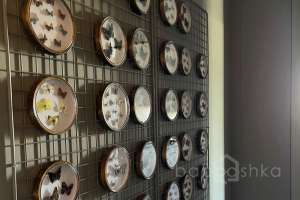 IMG_2080 квартиры Съёмки Москва