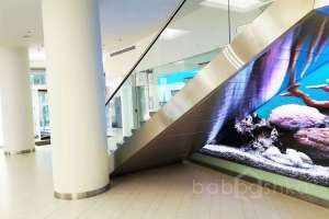 IMG-20161010-WA0004 территория Съёмки Москва