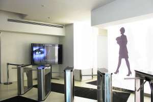 IMG_8550 территория Съёмки Москва