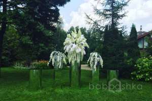 IMG-20160815-WA0009 рестораны Съёмки Москва