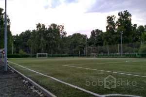 photo_2017-07-30_02-33-02%20(3) поля футбольные Съёмки Москва