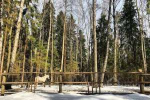 photo_2021-10-19_14-07-29 отели Съёмки Москва