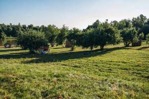 zdc-5944 дома Съёмки Москва