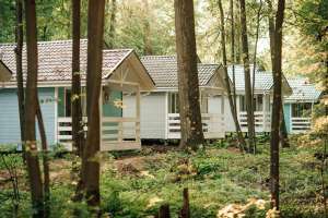 zdc-6033 дома Съёмки Москва