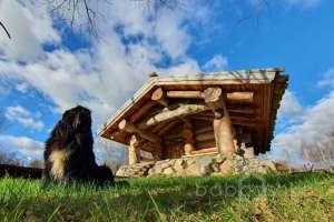 20201208_194035 дома Съёмки Москва