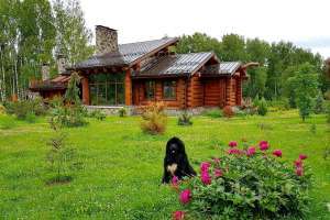 20190607_005445 дома Съёмки Москва